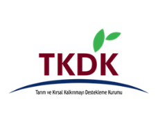TKDK